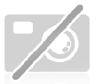 Ягодки - 5D Диамантен гоблен 30x40 см GJ1271
